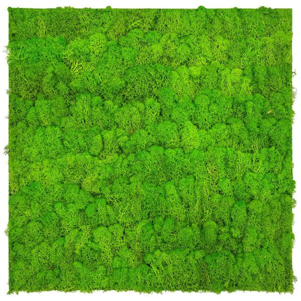 Kompozitné & Vinylové podlahy JANGAL MODULAR WALL - NATURE MOSS 11102 Bright Green