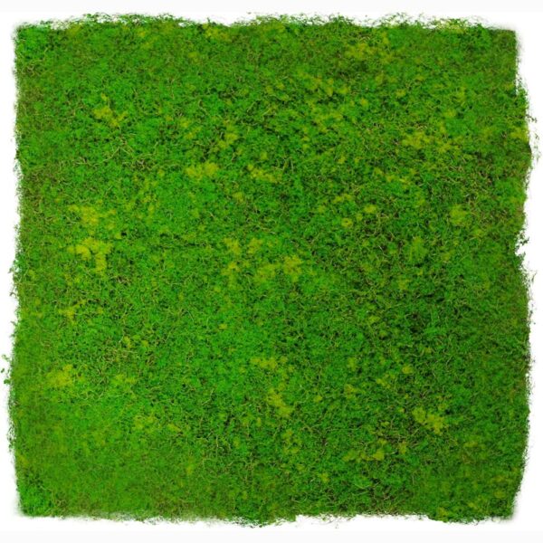 Kompozitné & Vinylové podlahy JANGAL MODULAR WALL - DESIGN MOSS 11110 Light Green Fibre