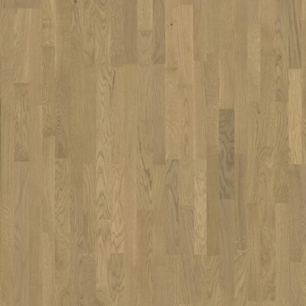 Drevené podlahy VP Parador Basic 11-5 Rustikal, Dub Malbec svetlý bielený matný lak 1748912 3L Automatic-Click 2200x185x11,5 mm/2,5 mm